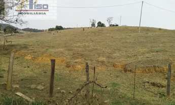 Imagem 7: Sítio em Centro - Ouro Fino