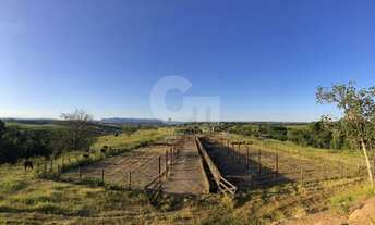 Imagem 4: Sitio 9.84 Alq. Com Estrutura de Produção Integrada