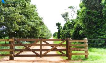 Imagem 9: Crédito Rural R$ 200.00,00 a R$ 1.000.000,00