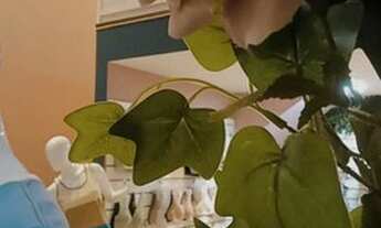 Imagem 2: Vendo Loja completa