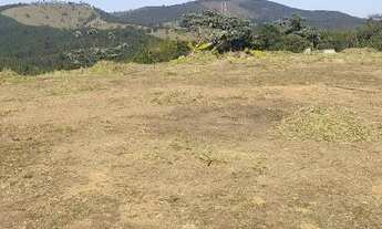 Imagem 7: Lote/Terreno para venda possui 5000 metros quadrados em santa luzia