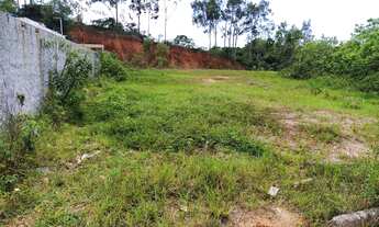 Imagem 1: Terreno 12X30, R$30.000,00