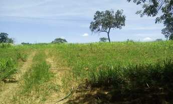 Imagem 4: Chácara município Piracanjuba-Go