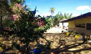 Imagem 5: Chácara no Incra 6 com casa e várias benfeitorias