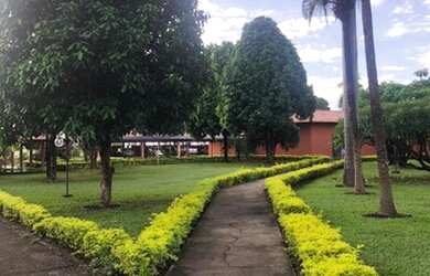 Imagem 7: Fazenda em formosa g.o 1.000 alqueirão 180.000.000.00 ( lean