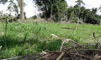 Imagem 4: Itacoatiara - Fazenda - Araújo Costa