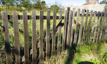 Imagem 6: EXCELENTE OPORTUNIDADE, VALOR DE OCASIÃO, LOMBA GRANDE