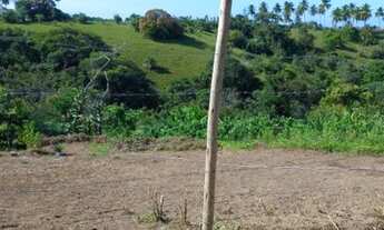 Imagem 3: Terreno em cajazeiras de Abrantes 600 metros da pista
