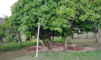 Imagem 6: Sítio, Chácara a Venda com 19.000 m² com 4 quartos Bairro Rio Bonito 8km Cidade - Porangab
