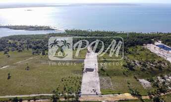 Imagem 3: 15.600m2, na praia de Campinhos - Maraú - BA