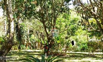 Imagem 4: Sítio com 4 dormitórios à venda, 50000 m² por R$ 1.950.000,00 - Cdo Rec Serra - Brumadinho