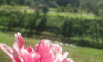 Imagem 7: Lotes em Mairiporã!