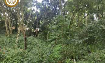 Imagem 2: SAO ROQUE - Terreno residencial - CAMPININHA (CANGUERA