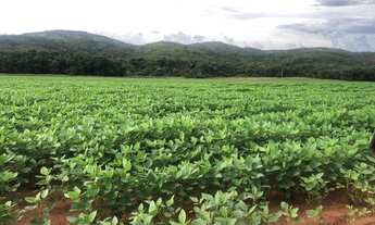 Imagem 3: Fazenda de 10.416 ha em Paratininga-MT