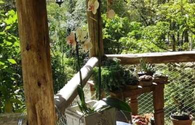 Imagem 6: Fazenda/Sítio/Chácara para venda tem 84500 metros quadrados com 3 quartos