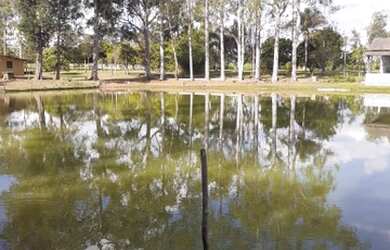 Imagem 7: Linda Chácara Espetacular Chácara das Mansões COM 15 HECTARES 1FU02QM