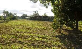 Imagem: Fazenda 61 Alqueires no mun Padre Bernardo