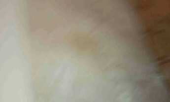 Imagem 5: Casa para alugar /Jardim América