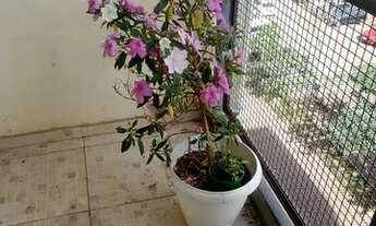 Imagem: Apartamento 52m