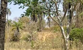 Imagem 5: Terrenos a venda na serra do cipo
