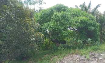 Imagem 6: Vende- se em Salinas