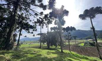 Imagem 4: TERRENO NO CAMINHO PARA O MORRO DA IGREJA IDEAL PARA INVESTIMENTO!