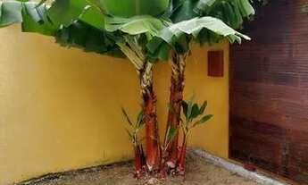 Imagem 4: Jardim Guanabara