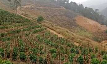 Imagem 2: Chácara em São Roque Maravilha - Alfredo Chaves