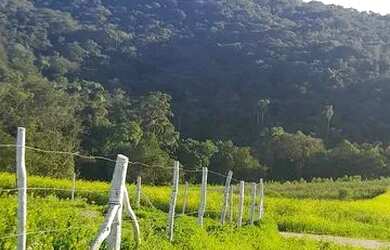 Imagem 5: Lote/Terreno para venda possui 600 metros quadrados