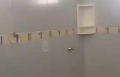 Imagem 4: Apartamento térreo