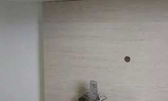 Imagem 6: São Paulo - Apartamento Padrão - Vila Formosa