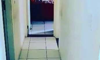 Imagem 5: Vendo excelente apartamento 2 quartos