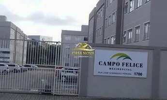 Imagem: CAMPO LARGO - Padrão - Ouro Verde