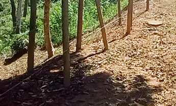 Imagem 6: Terreno Braunes Terreno / lote com venda por R$280.000