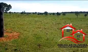 Imagem 3: Fazenda 127 Alqueires Região De Santa Rita Do Pardo/MS