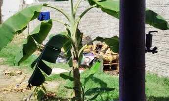 Imagem 6: Casa nova pedra pintada