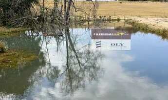 Imagem 1: Fazenda Premium - região de Piranhas-GO. São 44 alqueires ! OPORTUNIDADE !