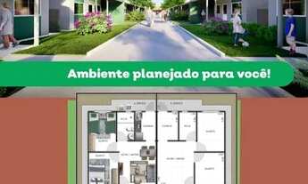 Imagem 5: Reserva das árvores