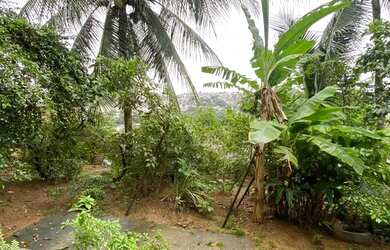 Imagem 5: Vende-se duas casas