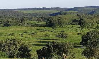 Imagem 9: . Uma Fazenda 110 alqueires 67 km de Porto Nacional