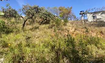 Imagem 2: Vendo um lote Terreno / lote com venda por R$50