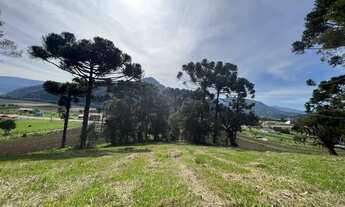 Imagem 6: TERRENO NO CAMINHO PARA O MORRO DA IGREJA IDEAL PARA INVESTIMENTO!