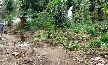 Imagem 2: Procurando terreno para construir a casa dos sonhos? raridade em Itacoatiara !