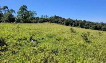 Imagem 2: Fazenda a 48 km de Belém