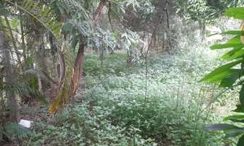 Imagem 7: Chácara em Jaboticatubas