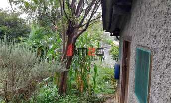 Imagem 6: Casa, Moinho Velho - São Paulo