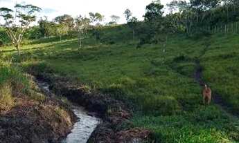 Imagem: Sitio à venda. 6.500 m2