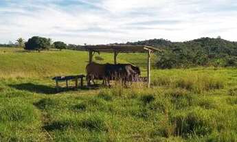 Imagem 3: Sitio à venda. 6.500 m2