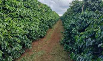 Imagem 6: Sítio 65 mil pes de café