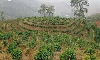 Imagem: Chácara em São Roque Maravilha - Alfredo